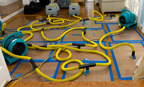 Professional Water Damage Restoration technician working in Williamsburg, OH